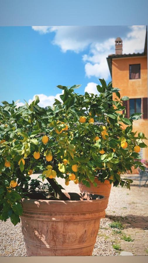 Fattoria Di Catignano Vendégház San Giovanni  Kültér fotó